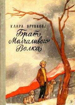 Клара Ярункова - Брат Молчаливого Волка - Читать 📖 Читать онлайн 👀 Читаемые книги читать онлайн бесплатно 🔥 booksread-online.com