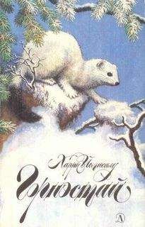 Харри Йыгисалу - Горностай - Читать Читать онлайн Читаемые книги читать онлайн бесплатно booksread-online.com