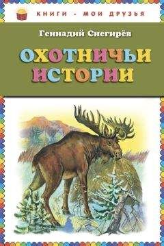 Геннадий Снегирев - Охотничьи истории - Читать 📖 Читать онлайн 👀 Читаемые книги читать онлайн бесплатно 🔥 booksread-online.com