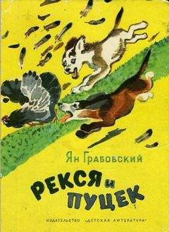Ян Грабовский - Рекся и Пуцек - Читать | Читать онлайн | Читаемые книги читать онлайн бесплатно | booksread-online.com