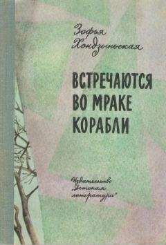 Зофья Хондзыньская - Встречаются во мраке корабли - Читать | Читать онлайн | Читаемые книги читать онлайн бесплатно | booksread-online.com