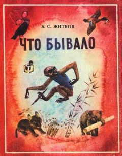 Борис Житков - Что бывало - Читать | Читать онлайн | Читаемые книги читать онлайн бесплатно | booksread-online.com