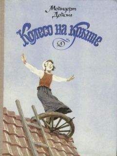 Мейндерт Дейонг - Колесо на крыше - Читать Читать онлайн Читаемые книги читать онлайн бесплатно booksread-online.com