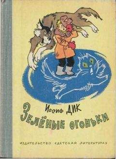 Иосиф Дик - Зелёные огоньки - Читать 📖 Читать онлайн 👀 Читаемые книги читать онлайн бесплатно 🔥 booksread-online.com