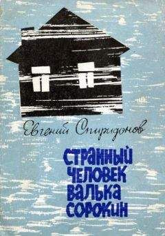Евгений Спиридонов - Странный человек Валька Сорокин - Читать | Читать онлайн | Читаемые книги читать онлайн бесплатно | booksread-online.com