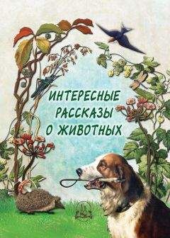 Н. Рудакова - Интересные рассказы о животных - Читать | Читать онлайн | Читаемые книги читать онлайн бесплатно | booksread-online.com
