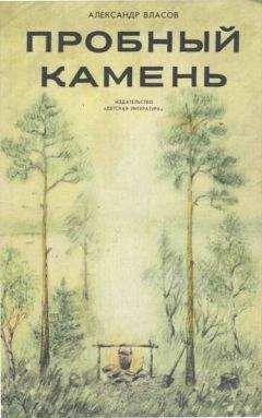 Александр Власов - Пробный камень - Читать 📖 Читать онлайн 👀 Читаемые книги читать онлайн бесплатно 🔥 booksread-online.com