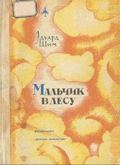 Эдуард Шим - Мальчик в лесу - Читать 📖 Читать онлайн 👀 Читаемые книги читать онлайн бесплатно 🔥 booksread-online.com