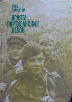 Яков Давидзон - Орлята партизанских лесов - Читать | Читать онлайн | Читаемые книги читать онлайн бесплатно | booksread-online.com