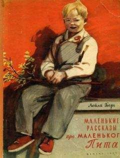 Лейла Берг - Маленькие рассказы про маленького Пита - Читать 📖 Читать онлайн 👀 Читаемые книги читать онлайн бесплатно 🔥 booksread-online.com