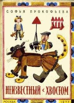 Софья Прокофьева - Неизвестный с хвостом - Читать 📖 Читать онлайн 👀 Читаемые книги читать онлайн бесплатно 🔥 booksread-online.com