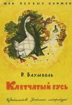 Рахиль Баумволь - Клетчатый гусь - Читать 📖 Читать онлайн 👀 Читаемые книги читать онлайн бесплатно 🔥 booksread-online.com