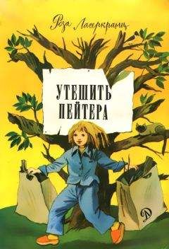 Роза Лагеркранц - Утешить Пейтера - Читать 📖 Читать онлайн 👀 Читаемые книги читать онлайн бесплатно 🔥 booksread-online.com