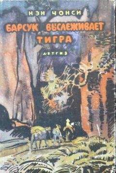Нэн Чонси - Барсук выслеживает тигра - Читать Читать онлайн Читаемые книги читать онлайн бесплатно booksread-online.com