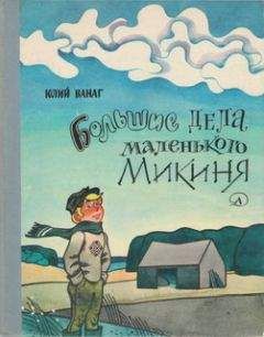 Юлий Ванаг - Большие дела маленького Микиня - Читать Читать онлайн Читаемые книги читать онлайн бесплатно booksread-online.com