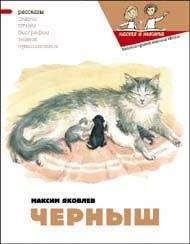 Максим Яковлев - Черныш - Читать 📖 Читать онлайн 👀 Читаемые книги читать онлайн бесплатно 🔥 booksread-online.com