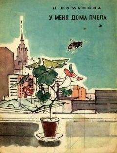 Наталья Романова - У меня дома пчела - Читать 📖 Читать онлайн 👀 Читаемые книги читать онлайн бесплатно 🔥 booksread-online.com
