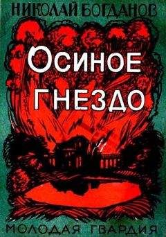 Николай Богданов - Осиное гнездо - Читать | Читать онлайн | Читаемые книги читать онлайн бесплатно | booksread-online.com
