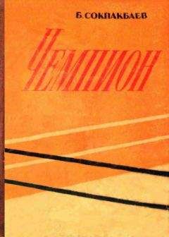 Бердибек Сокпакбаев - Чемпион - Читать | Читать онлайн | Читаемые книги читать онлайн бесплатно | booksread-online.com