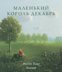 Аксель Хаке - Маленький король Декабрь - Читать | Читать онлайн | Читаемые книги читать онлайн бесплатно | booksread-online.com