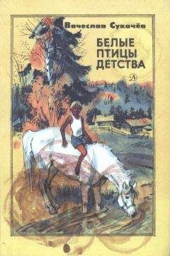 Вячеслав Сукачев - Белые птицы детства - Читать 📖 Читать онлайн 👀 Читаемые книги читать онлайн бесплатно 🔥 booksread-online.com