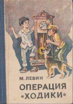 Минель Левин - Операция «Ходики» - Читать | Читать онлайн | Читаемые книги читать онлайн бесплатно | booksread-online.com