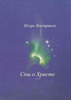 Игорь Востряков - Сны о Христе (сборник) - Читать 📖 Читать онлайн 👀 Читаемые книги читать онлайн бесплатно 🔥 booksread-online.com