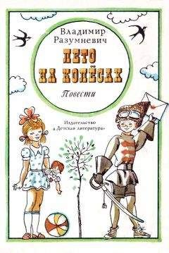 Владимир Разумневич - Лето на колёсах [Повести] - Читать 📖 Читать онлайн 👀 Читаемые книги читать онлайн бесплатно 🔥 booksread-online.com