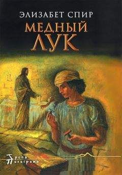 Элизабет Спир - Медный лук - Читать Читать онлайн Читаемые книги читать онлайн бесплатно booksread-online.com