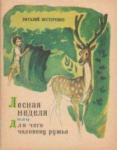 Виталий Нестеренко - Лесная неделя, или Для чего человеку ружье - Читать Читать онлайн Читаемые книги читать онлайн бесплатно booksread-online.com