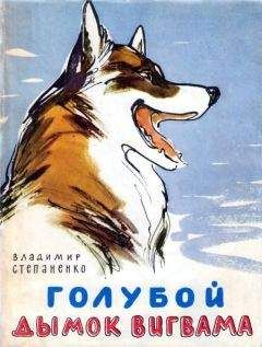 Владимир Степаненко - Голубой дымок вигвама - Читать 📖 Читать онлайн 👀 Читаемые книги читать онлайн бесплатно 🔥 booksread-online.com
