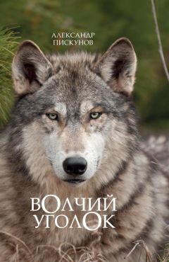 Александр Пискунов - Волчий уголок - Читать 📖 Читать онлайн 👀 Читаемые книги читать онлайн бесплатно 🔥 booksread-online.com