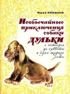 Юрий Новиков - Необычайные приключения собаки Дульки с четверга до субботы в одно жаркое лето - Читать 📖 Читать онлайн 👀 Читаемые книги читать онлайн бесплатно 🔥 booksread-online.com