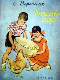 Елена Верейская - Цыплячьи шефы - Читать 📖 Читать онлайн 👀 Читаемые книги читать онлайн бесплатно 🔥 booksread-online.com