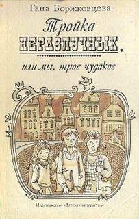 Гана Боржковцова - Тройка неразлучных, или Мы, трое чудаков - Читать | Читать онлайн | Читаемые книги читать онлайн бесплатно | booksread-online.com