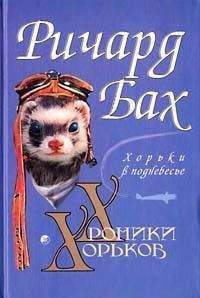 Ричард Бах - Хорьки в поднебесье - Читать 📖 Читать онлайн 👀 Читаемые книги читать онлайн бесплатно 🔥 booksread-online.com
