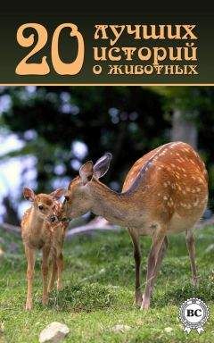 Коллектив авторов - 20 лучших историй о животных - Читать 📖 Читать онлайн 👀 Читаемые книги читать онлайн бесплатно 🔥 booksread-online.com