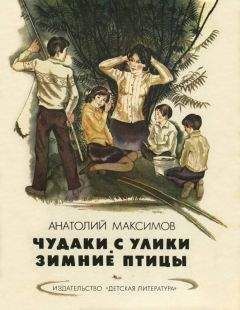 Анатолий Максимов - Чудаки с Улики. Зимние птицы - Читать 📖 Читать онлайн 👀 Читаемые книги читать онлайн бесплатно 🔥 booksread-online.com