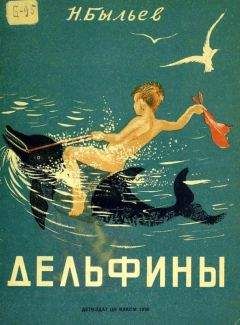 Николай Быльев - Дельфины - Читать | Читать онлайн | Читаемые книги читать онлайн бесплатно | booksread-online.com