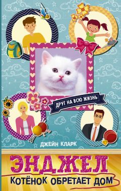 Джейн Кларк - Энджел. Котёнок обретает дом - Читать | Читать онлайн | Читаемые книги читать онлайн бесплатно | booksread-online.com