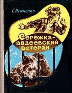 Гарий Немченко - Сережка — авдеевский ветеран - Читать | Читать онлайн | Читаемые книги читать онлайн бесплатно | booksread-online.com