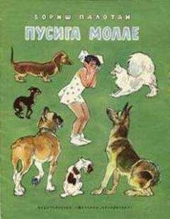 Бориш Палотаи - Пусига Молле - Читать 📖 Читать онлайн 👀 Читаемые книги читать онлайн бесплатно 🔥 booksread-online.com