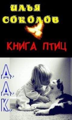 Илья Соколов - Книга птиц + Д.Д.К. (сборник) - Читать | Читать онлайн | Читаемые книги читать онлайн бесплатно | booksread-online.com