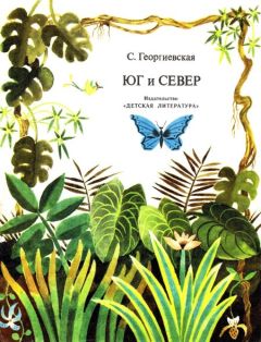 Сусанна Георгиевская - Юг и север - Читать 📖 Читать онлайн 👀 Читаемые книги читать онлайн бесплатно 🔥 booksread-online.com