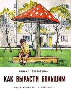 Рафаил Тухватулин - Как вырасти большим - Читать | Читать онлайн | Читаемые книги читать онлайн бесплатно | booksread-online.com