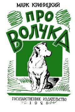 Марк Криницкий - Про Волчка - Читать 📖 Читать онлайн 👀 Читаемые книги читать онлайн бесплатно 🔥 booksread-online.com