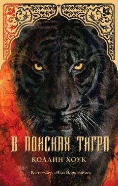 Коллин Хоук - В поисках тигра - Читать 📖 Читать онлайн 👀 Читаемые книги читать онлайн бесплатно 🔥 booksread-online.com