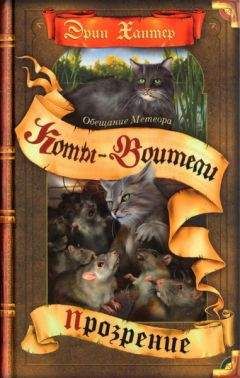 Эрин Хантер - Обещание Метеора. Прозрение - Читать 📖 Читать онлайн 👀 Читаемые книги читать онлайн бесплатно 🔥 booksread-online.com