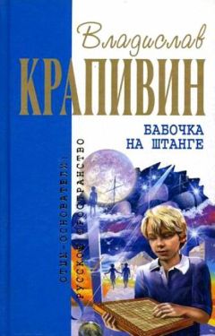 Владислав Крапивин - Бабочка на штанге - Читать 📖 Читать онлайн 👀 Читаемые книги читать онлайн бесплатно 🔥 booksread-online.com