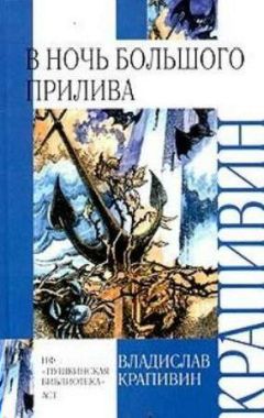 Владислав Крапивин - В ночь большого прилива - Читать | Читать онлайн | Читаемые книги читать онлайн бесплатно | booksread-online.com